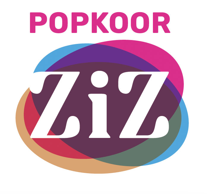 Kleurrijk logo "ZiZ"